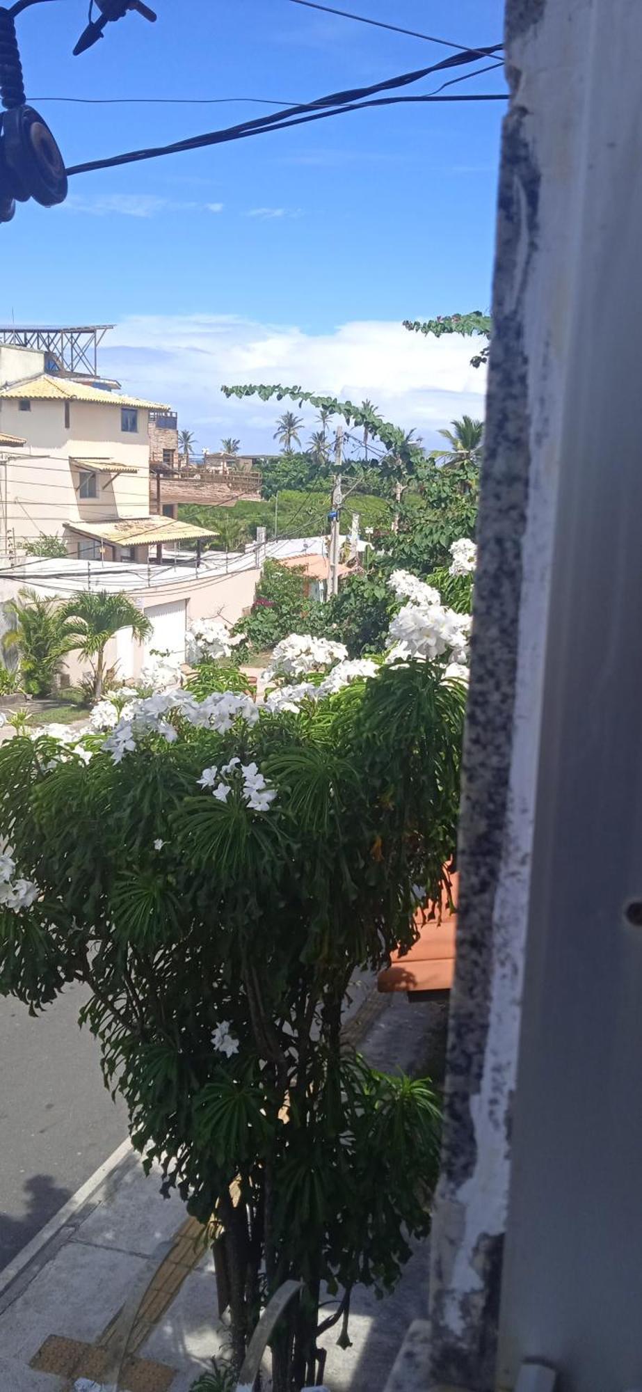 Kit Net Carlotta Apartmentos * Salvador