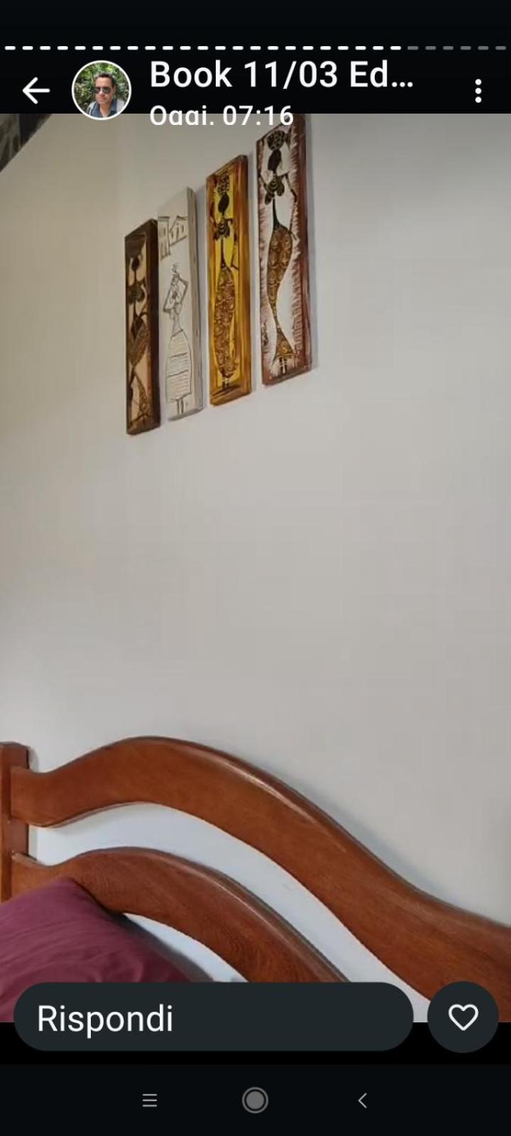Kit Net Carlotta Apartmentos Apartment *